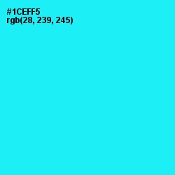 #1CEFF5 - Cyan / Aqua Color Image