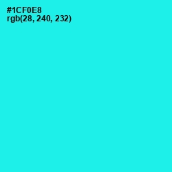 #1CF0E8 - Cyan / Aqua Color Image