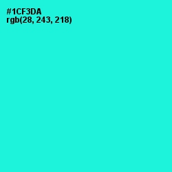 #1CF3DA - Bright Turquoise Color Image