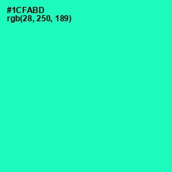 #1CFABD - Shamrock Color Image