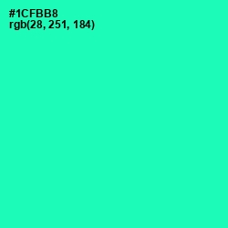 #1CFBB8 - Shamrock Color Image