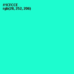 #1CFCCE - Bright Turquoise Color Image