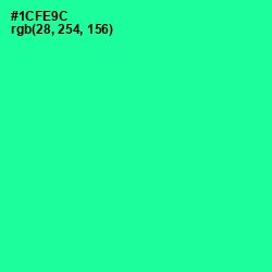 #1CFE9C - Shamrock Color Image