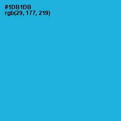 #1DB1DB - Cerulean Color Image