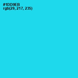 #1DD9EB - Bright Turquoise Color Image