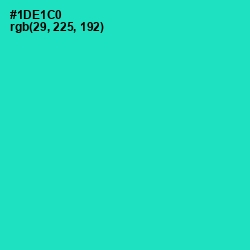#1DE1C0 - Bright Turquoise Color Image