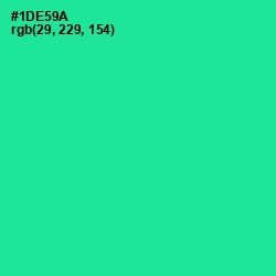 #1DE59A - Shamrock Color Image