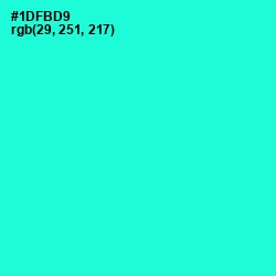 #1DFBD9 - Bright Turquoise Color Image