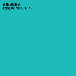 #1EBBBB - Eastern Blue Color Image