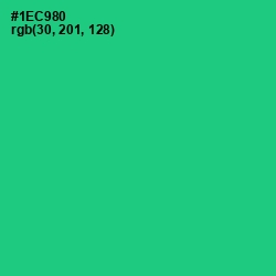 #1EC980 - Caribbean Green Color Image