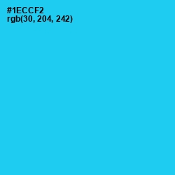#1ECCF2 - Bright Turquoise Color Image