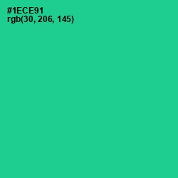 #1ECE91 - Caribbean Green Color Image