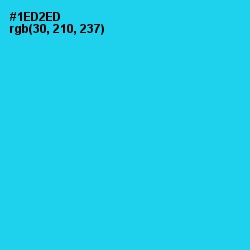 #1ED2ED - Bright Turquoise Color Image