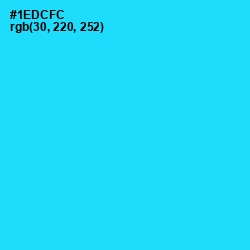 #1EDCFC - Bright Turquoise Color Image
