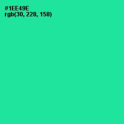 #1EE49E - Shamrock Color Image