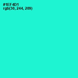 #1EF4D1 - Bright Turquoise Color Image