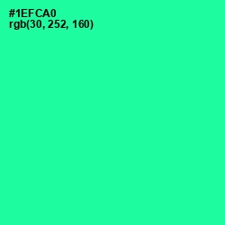 #1EFCA0 - Shamrock Color Image