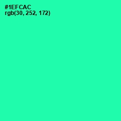 #1EFCAC - Shamrock Color Image