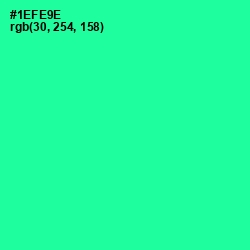 #1EFE9E - Shamrock Color Image