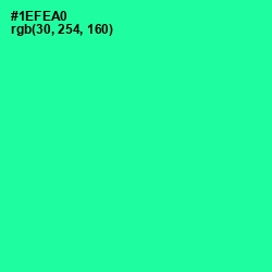 #1EFEA0 - Shamrock Color Image