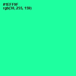 #1EFF9F - Shamrock Color Image