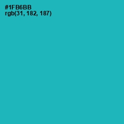 #1FB6BB - Eastern Blue Color Image