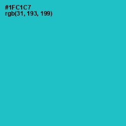 #1FC1C7 - Java Color Image