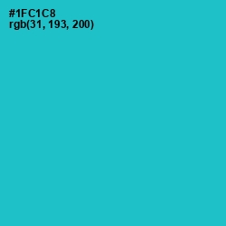 #1FC1C8 - Java Color Image