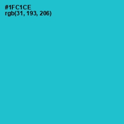 #1FC1CE - Java Color Image