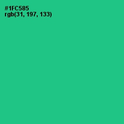 #1FC585 - Caribbean Green Color Image