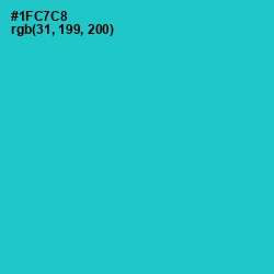 #1FC7C8 - Java Color Image