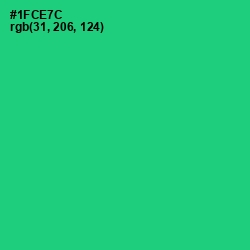 #1FCE7C - Malachite Color Image