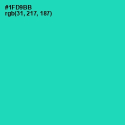 #1FD9BB - Shamrock Color Image