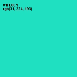 #1FE0C1 - Bright Turquoise Color Image