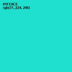 #1FE0CE - Bright Turquoise Color Image