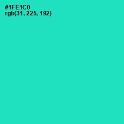 #1FE1C0 - Bright Turquoise Color Image