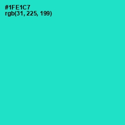 #1FE1C7 - Bright Turquoise Color Image