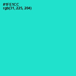 #1FE1CC - Bright Turquoise Color Image