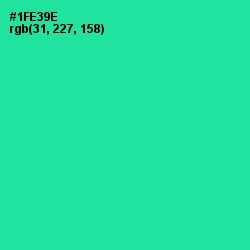 #1FE39E - Shamrock Color Image