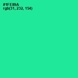 #1FE89A - Shamrock Color Image