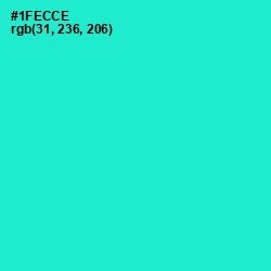 #1FECCE - Bright Turquoise Color Image