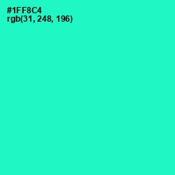 #1FF8C4 - Bright Turquoise Color Image