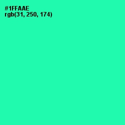 #1FFAAE - Shamrock Color Image