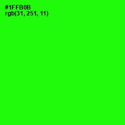 #1FFB0B - Green Color Image