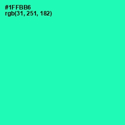 #1FFBB6 - Shamrock Color Image