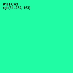 #1FFCA3 - Shamrock Color Image