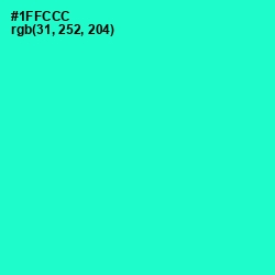 #1FFCCC - Bright Turquoise Color Image