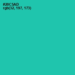#20C5AD - Puerto Rico Color Image