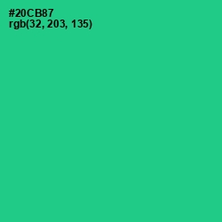 #20CB87 - Shamrock Color Image