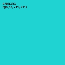 #20D3D3 - Turquoise Color Image